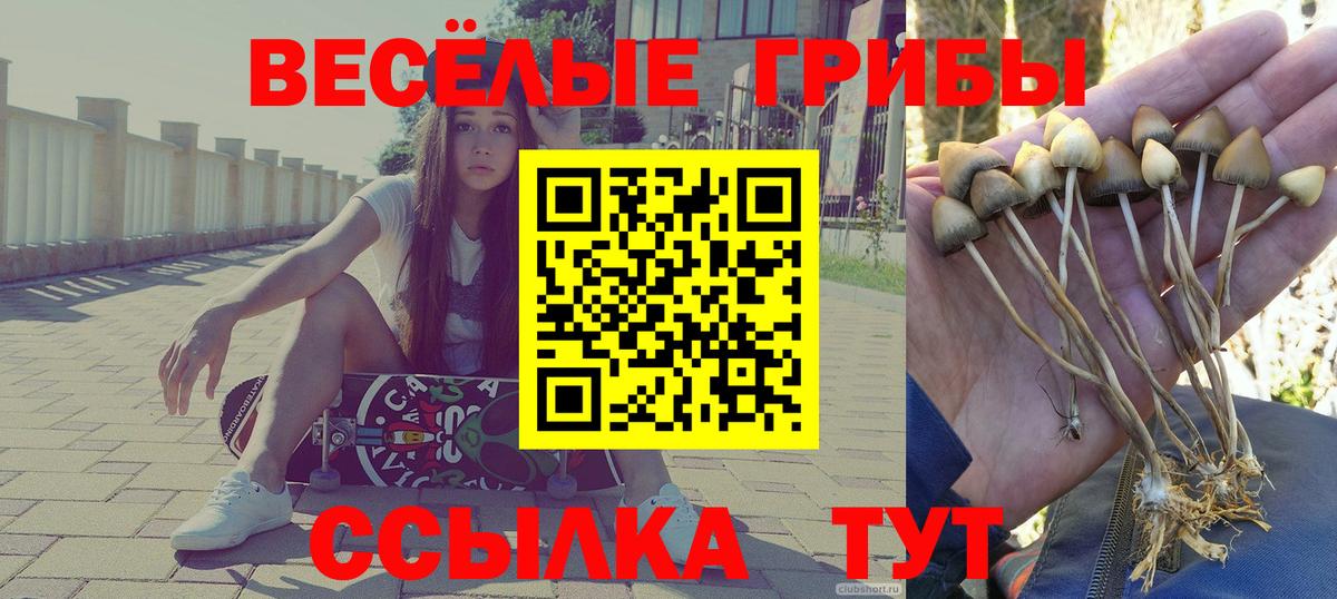 Галлюциногенные грибы MAGIC MUSHROOMS  Вход с VPN  Крымск 
